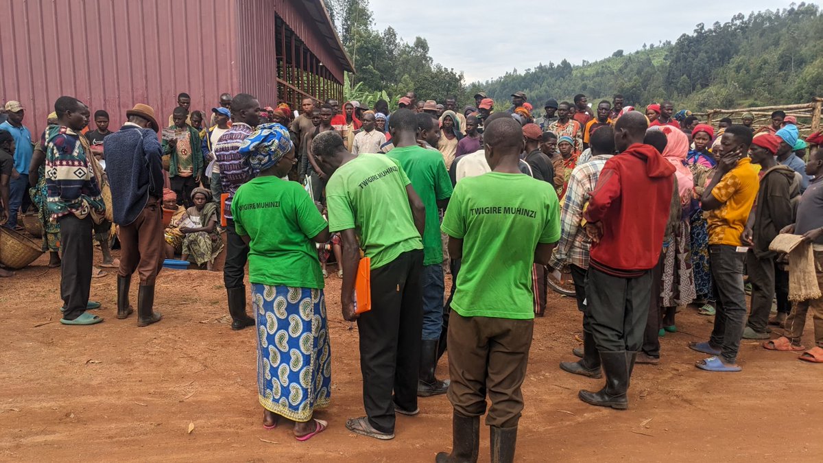 WGYB_NGO's tweet photo. Have you heard how our #GreenRisingProgram is helping Rwanda🇷🇼reach its tree-planting goals while supporting global sustainability?
Rwanda aims to plant over 65 million trees during the 2024-2025 tree planting season. This initiative is crucial in tackling climate change, deforestation and transforming our nation into a true #green paradise. Grateful to our #GreenRisingProgram, we've already exceeded our goal by #planting 72,000 trees, which helps build climate resilience and support our environment!
But we do more than just plant trees. Our #program aims to help families improve their livelihoods through better agriculture and biodiversity conservation, educate communities about climate change, and encourage households to plant more trees—up from 3 to 5 each! This includes a variety of trees, including forest species, fruits, and ornamental plants.
The #GreenRisingProgram is not just about planting trees in numbers; it’s about nurturing a community-driven movement towards a greener and more sustainable future.
As we move forward with our mission, we remain committed to making a lasting impact on our nation.🇷🇼💪
#GreenRisingRwanda
#ClimateAction
#GreenRwanda
@RwandaYouthArts @GenUnlimited_ @unicefrw