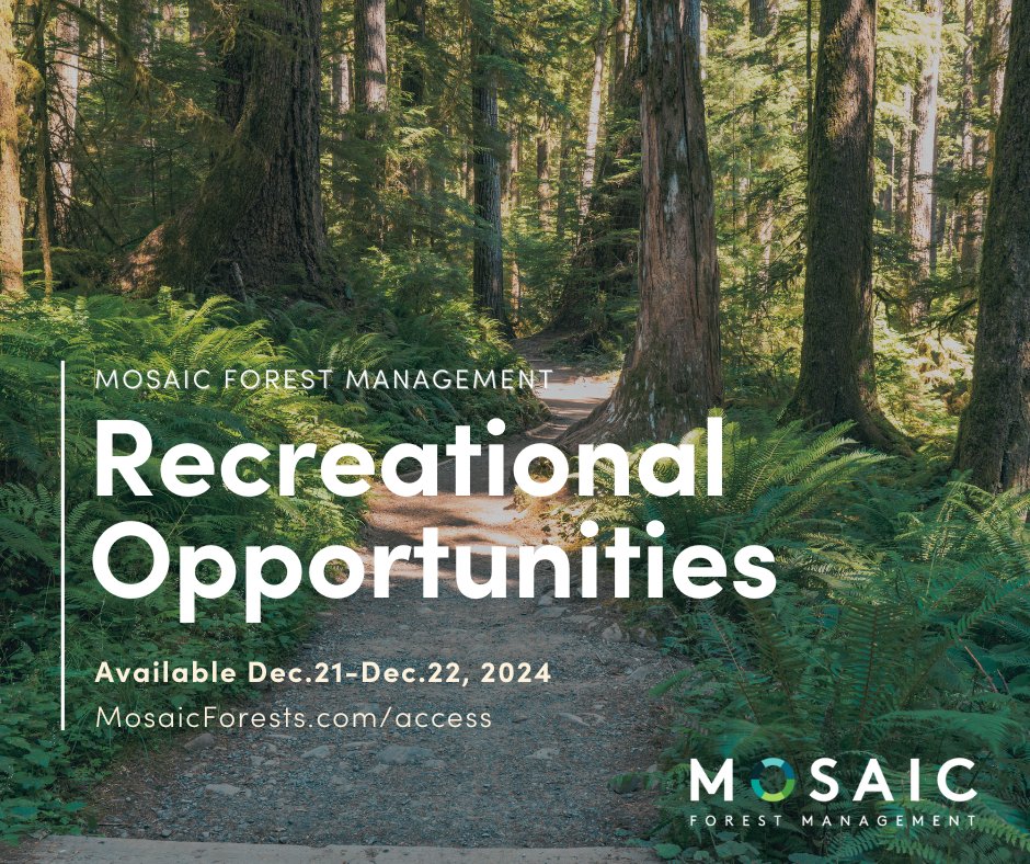 mosaicforests's tweet image. Recreational opportunities are available in designated areas on Mosaic's forest lands this Saturday and Sunday, as well as through the holidays from December 25, 2024 to January 1, 2025. Check gate status before heading out. Visit MosaicForests.com/access. #VancouverIsland