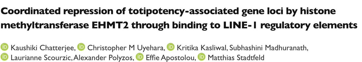 Chris Uyehara (@cmuyehara) on Twitter photo <a href="/KaushikiChatte4/">Kaushiki Chatterjee</a> and I are excited to share our preprint about fate restriction in pluripotent cells! We show that EHMT2 counteracts the reactivation of clusters of totipotency genes by nucleating heterochromatin domains at LINE-1 repeats.
<a href="/efapostolou29/">Effie Apostolou</a> and Stadtfeld Labs
1/n <a href="/KaushikiChatte4/">Kaushiki Chatterjee</a> and I are excited to share our preprint about fate restriction in pluripotent cells! We show that EHMT2 counteracts the reactivation of clusters of totipotency genes by nucleating heterochromatin domains at LINE-1 repeats.
<a href="/efapostolou29/">Effie Apostolou</a> and Stadtfeld Labs
1/n