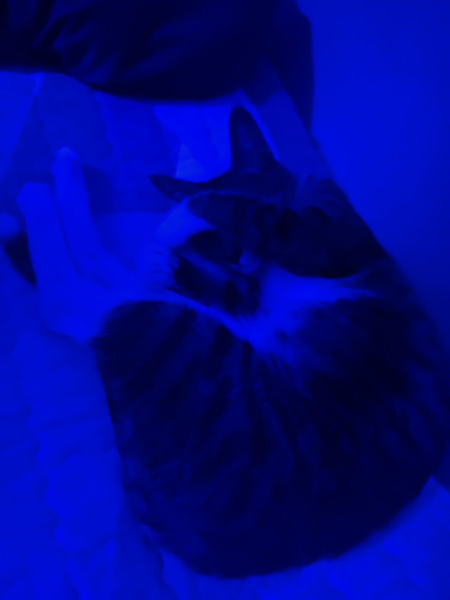 이게 불금이라고 술먹고 자는 사람의 모습이 아닐까… #대구