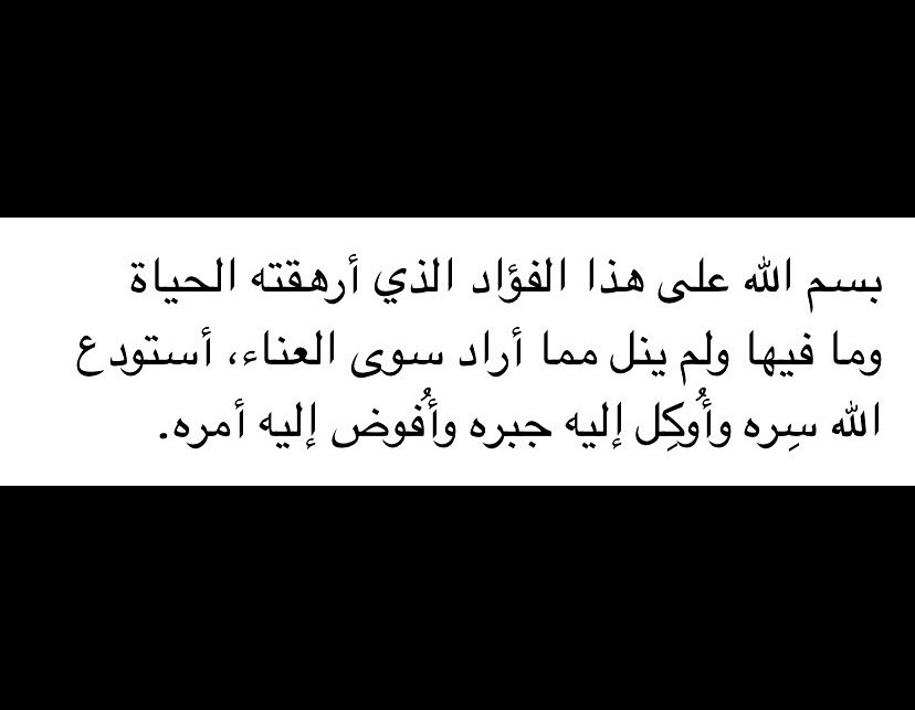 🫧 tweet media