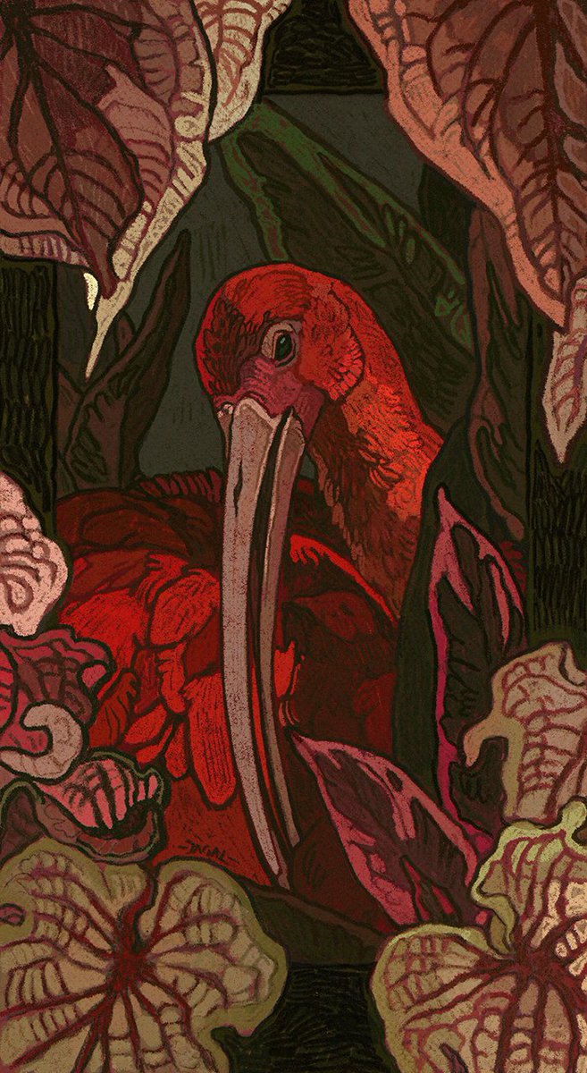 _jagal_'s tweet photo. Ibis https://t.co/e5G434GOUN