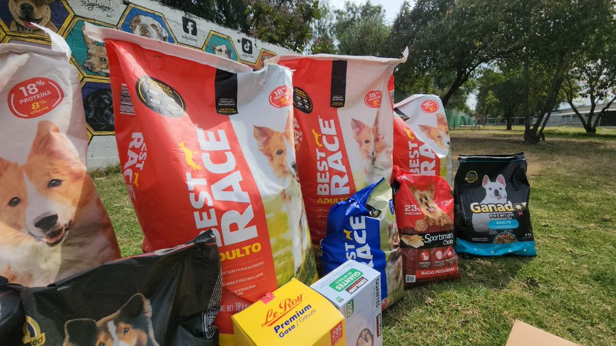 MetroCDMX's tweet photo. Las personas interesadas en conocer a los lomitos y realizar donaciones pueden acudir directamente al CTC, que está ubicado en Avenida de las Culturas S/N, colonia El Rosario, alcaldía Azcapotzalco, con horario de atención de lunes a domingo, de 10:00 a 17:00 horas. https://t.co/QF5myr03Sl