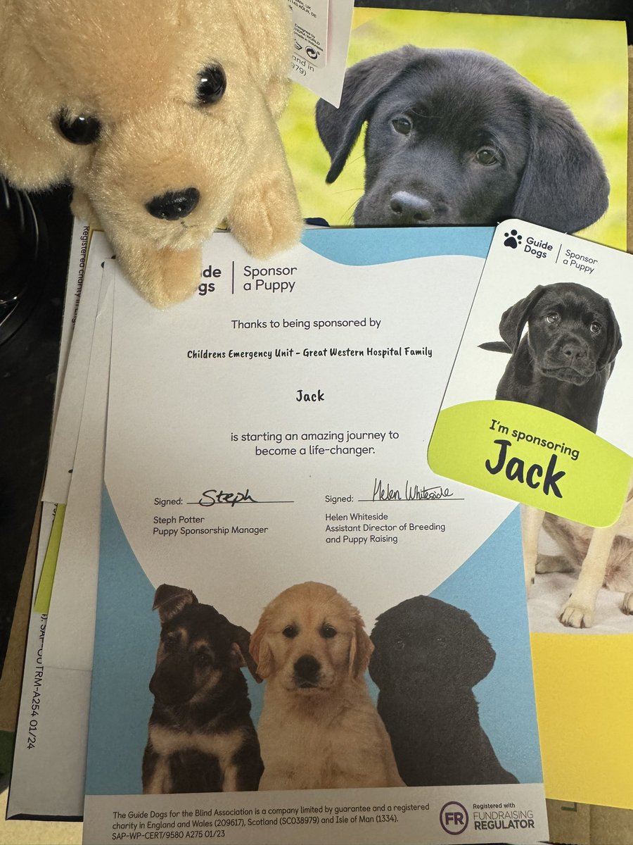 Katie Rix tweet media