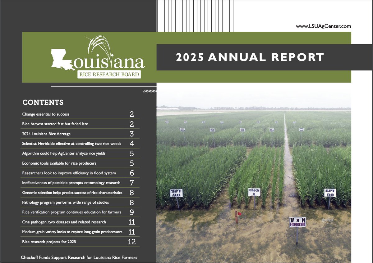 LaRiceBoard's tweet photo. Looks like Christmas came early-- The 2025 Louisiana Rice Research Board Annual Report is available online now! Check out all the great things your checkoff funds are supporting-- https://t.co/5GFnGN86he https://t.co/WNVgLVC8yS