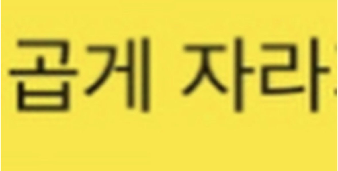 Han Sohee. tweet media