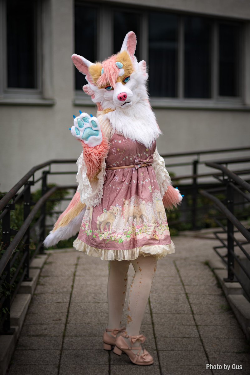 FuzzyFurC's tweet photo. Possibly selling my personal suit, open for offers on her at the moment :) She is a partial (head, hands and a tail)

I just don’t wear her anymore! 😢 

Feel free to DM me with an offer. https://t.co/78Q5Zpc63d