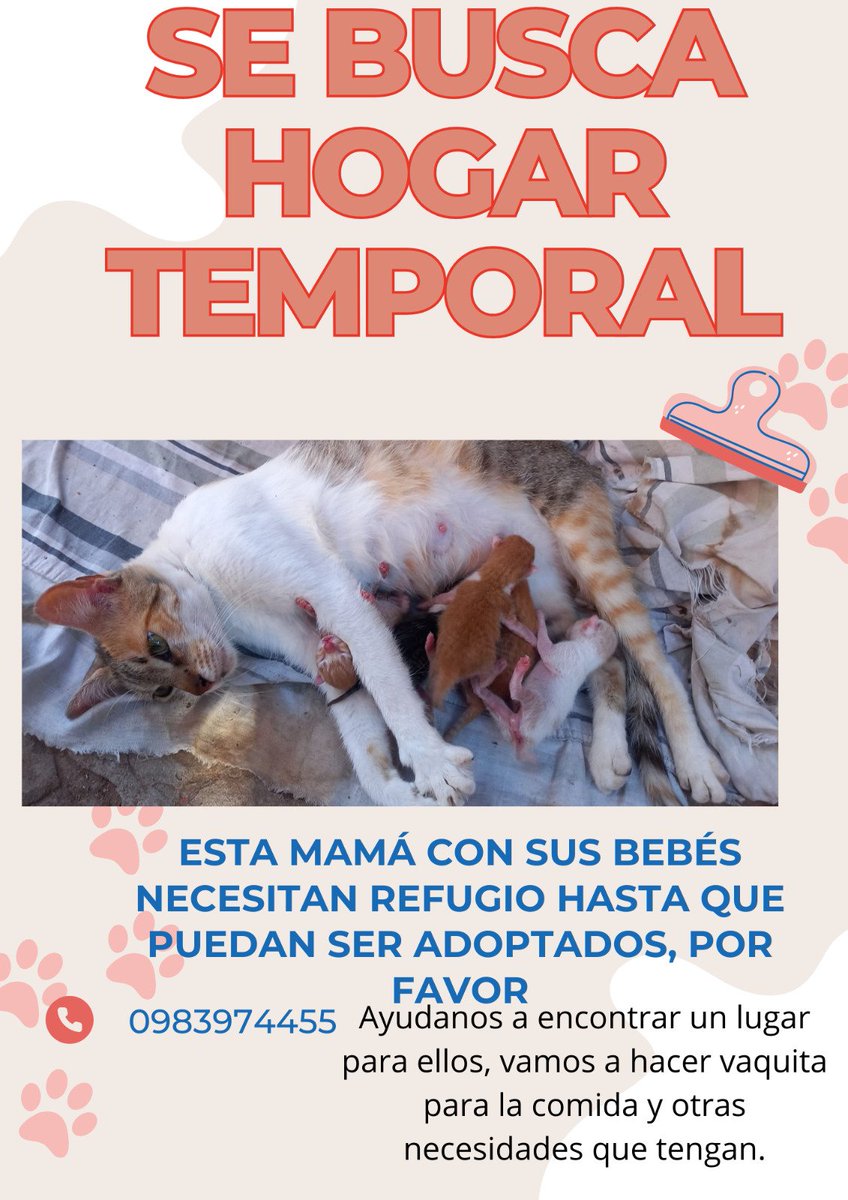 mbaepikoconpuso's tweet image. Armé este flyer improvisado en canva para que me ayuden a compartir 😔🙏🏾🤍