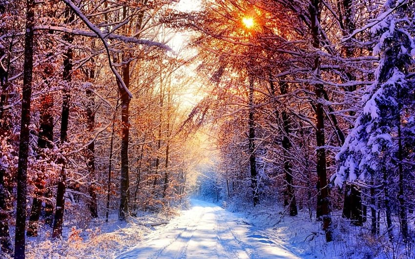 *𝗠𝘂𝘀𝗶𝗰 𝘁𝗼 𝗺𝘆 𝗵𝗲𝗮𝗿𝘁 -𝗩𝗢𝗟 𝟮-. Palabras y voz de Prem Rawat.Música ᴅᴇ ᴊᴏʜɴ ᴀᴅᴏʀɴᴇʏ. Nada más útil que la Paz. Compra ONLINE aqui: amzn.to/3Ip6dkV
ESPECIAL PARA TI. 
#music2myheart #Infpeace #Premrawat #Peacenow