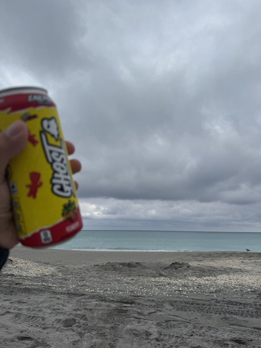 wourldcup2k14's tweet photo. Gonna be chilly this weekend therefore #beachfriday tap in https://t.co/aOqqx0WPbc