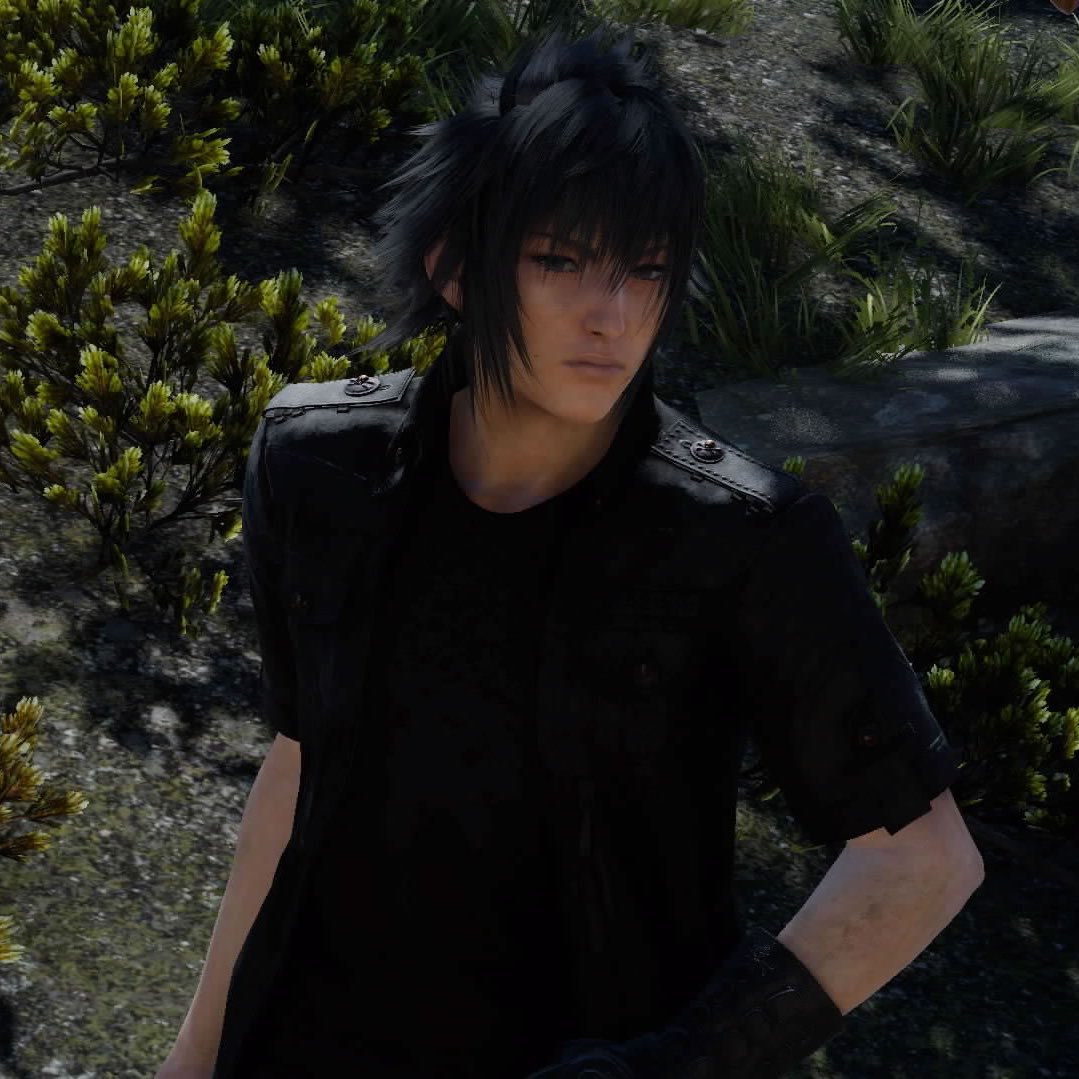 daily noctis (@dailynoctis) / Posts / X