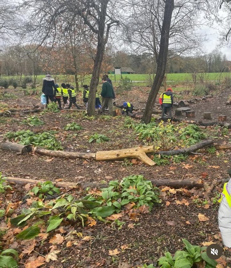 Our last event of the year! Celebrate winter solstice tomorrow in the Forest Garden our outdoor community Centre!  See you at 10.30.  Maybe with an umbrella!