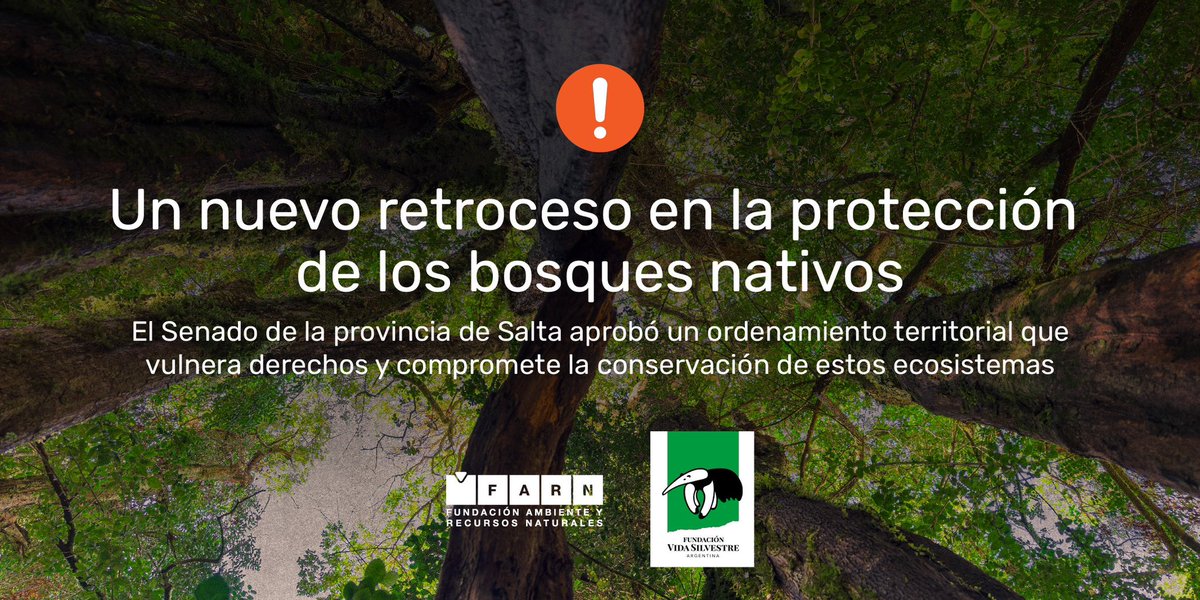 🚨 Desde <a href="/farnargentina/">FARN</a> y <a href="/Vida_Silvestre/">Fundación Vida Silvestre 🇦🇷</a> advertimos inconsistencias legales, técnicas y procedimentales que comprometen la legitimidad del nuevo Ordenamiento Territorial de Bosques Nativos (OTBN) de Salta.

🔎 Más info en: farn.org.ar/nueva-amenaza-…