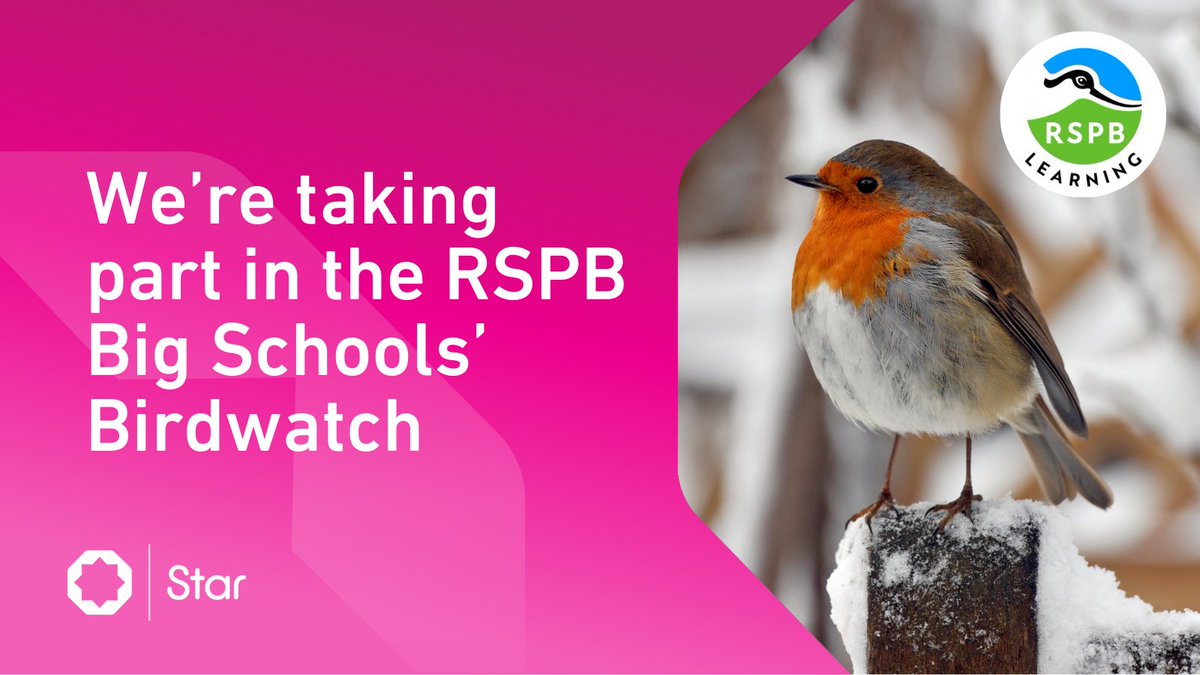 StarAcademies's tweet image. Our schools are taking part in the @RSPB_Learning #BigSchoolsBirdwatch!

Over the next few weeks, pupils will be counting and recording the birds in our school grounds to help scientists monitor the number of different species.

#LearningThroughNature
@Natures_Voice