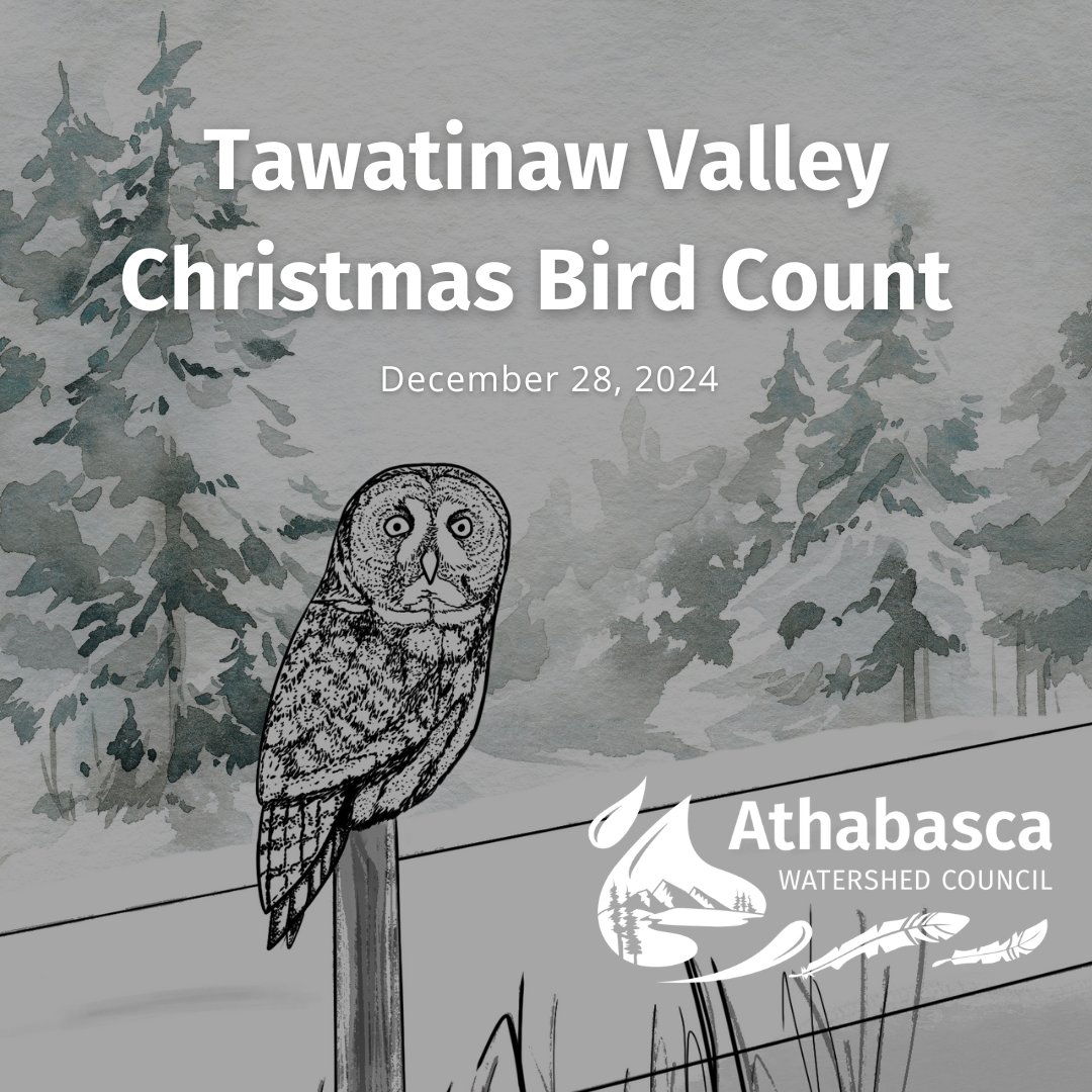 This year's Tawatinaw Valley Christmas Bird Count is just over a week away on December 28th! If you're interested in attending, RSVP to communications@awc-wpac.ca as soon as possible! Learn more at awc-wpac.ca/awc-event/tawa…