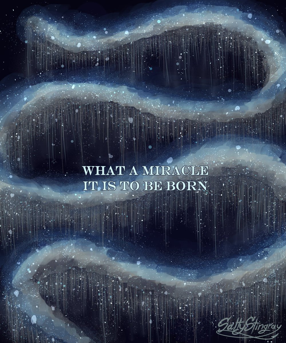 StingraySalty's tweet image. "its nice to meet all of you"
#DeepseaSiphonophore #Siphonophore #thesimpsons
That Simpsons Christmas special hit a lil hard huh