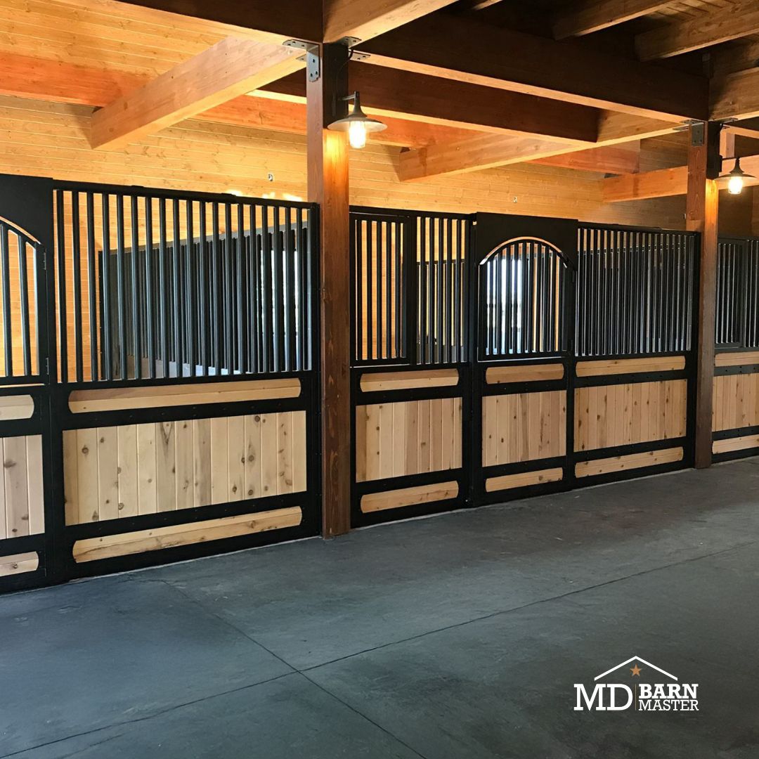 MDBarnmaster's tweet photo. For over 30 years, we've redefined safety and performance in equine stall systems. With the Elite Stall Fronts, we’re raising the bar even higher. 

👉 Explore the Elite Collection today! https://t.co/OcSOEbwgLq https://t.co/fN76xJQcK9
