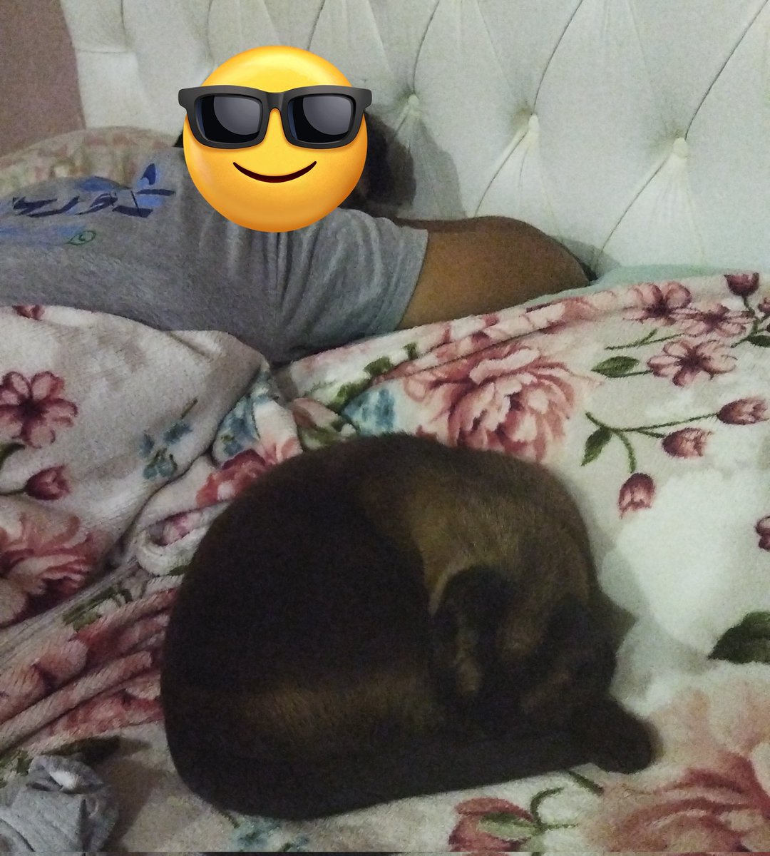 you guys will be just throwing shit around for real this is disgusting 

this is me and this is my dad sleeping with our cat (not gonna show his face to you weirdos) and you're implying not only that I'm racist but saying my family is ku klux klan