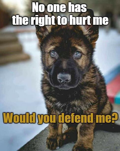 Would you defend me?