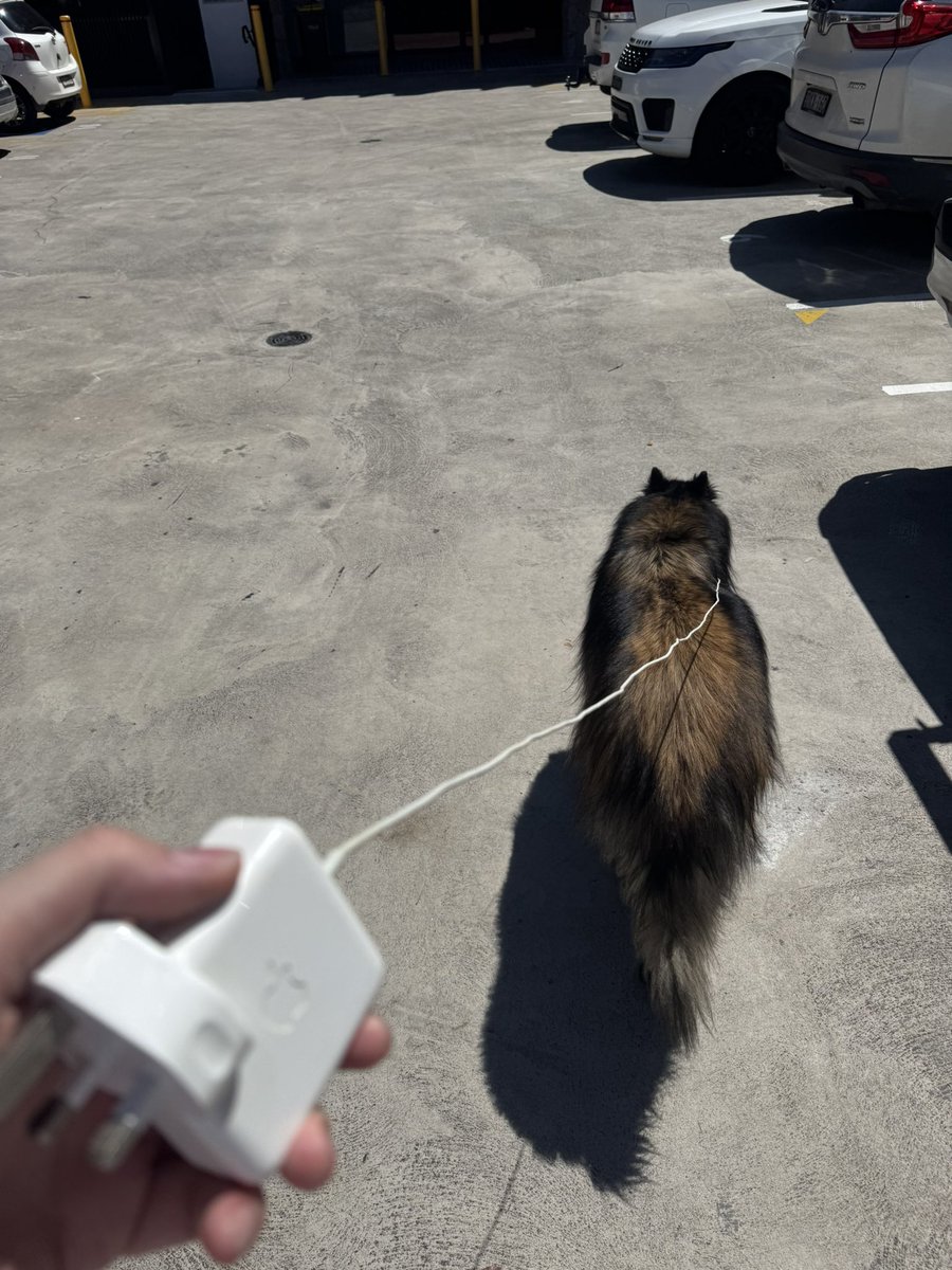 Anyone know where I can plug in my dog?