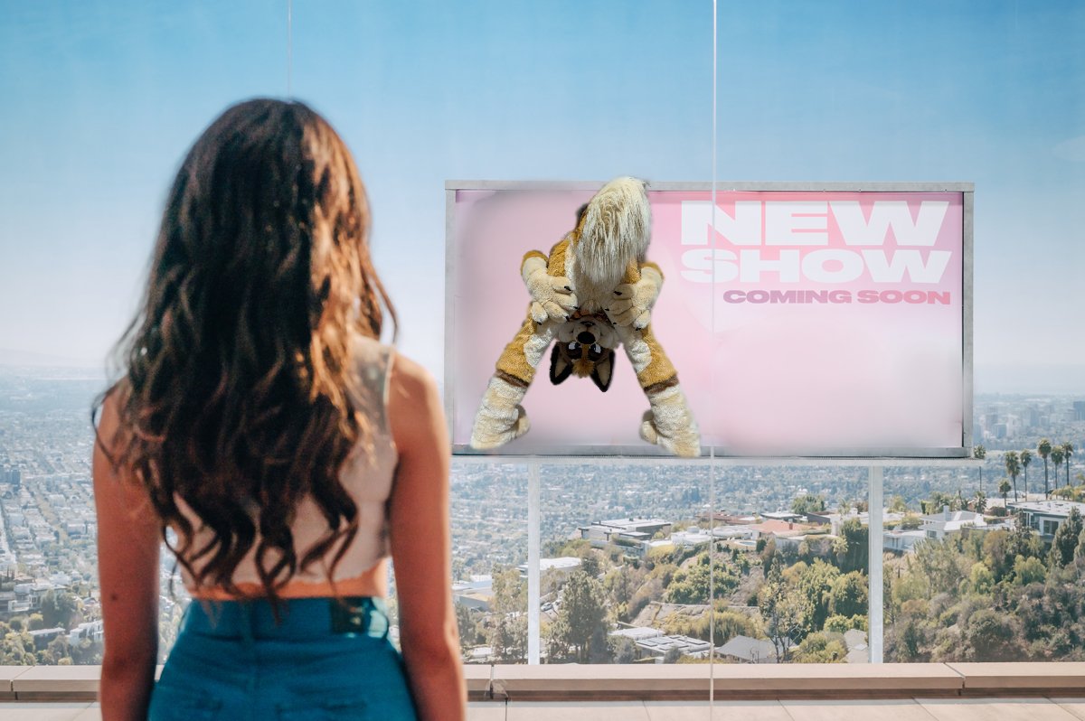 🎃Spice Wolf🐺➡️FC tweet media