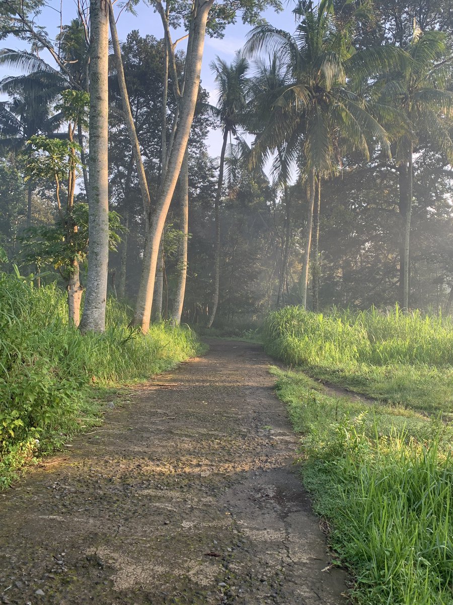 pramdzzr's tweet photo. today i walked 2.7 miles to get out of depression https://t.co/hw0OcDHisO