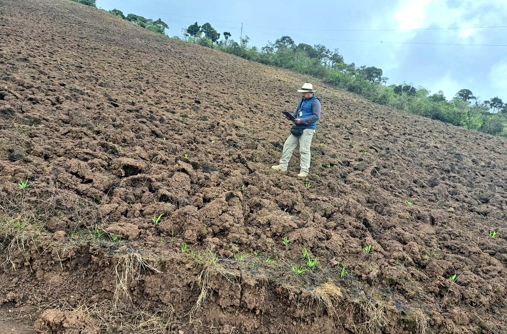 Agricultura_CZ6's tweet photo. #Cañar | Realizamos la georeferenciación de lotes previo a la obtención de polizas de seguro agrícola en las comunidades Surales, Apangora y Chilchil La Capilla del Cantón Cañar.

#ElNuevoEcuadorResuelve https://t.co/lGsIoY8GXE