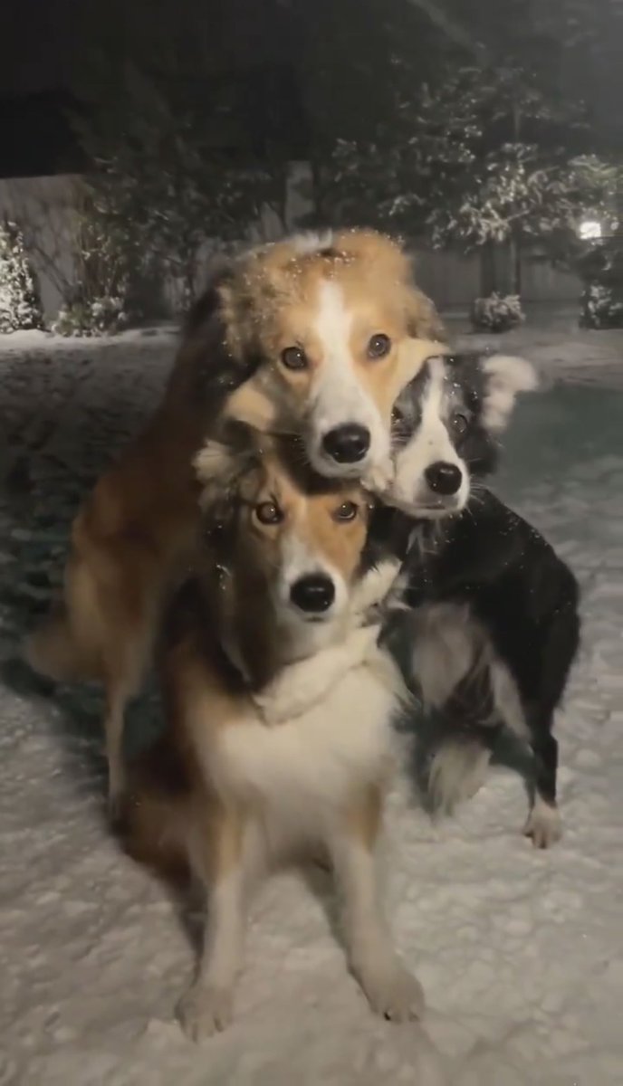 <a href="/_B___S/">B&S</a> Beautiful picture 😍