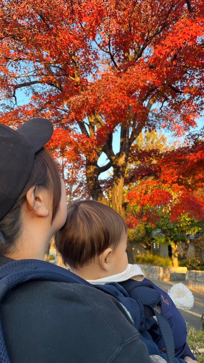 kazuhoon_4's tweet photo. 1歳になりました🎊
元気モリモリスクスク育て〜😘 https://t.co/Xs4wEgn0hH