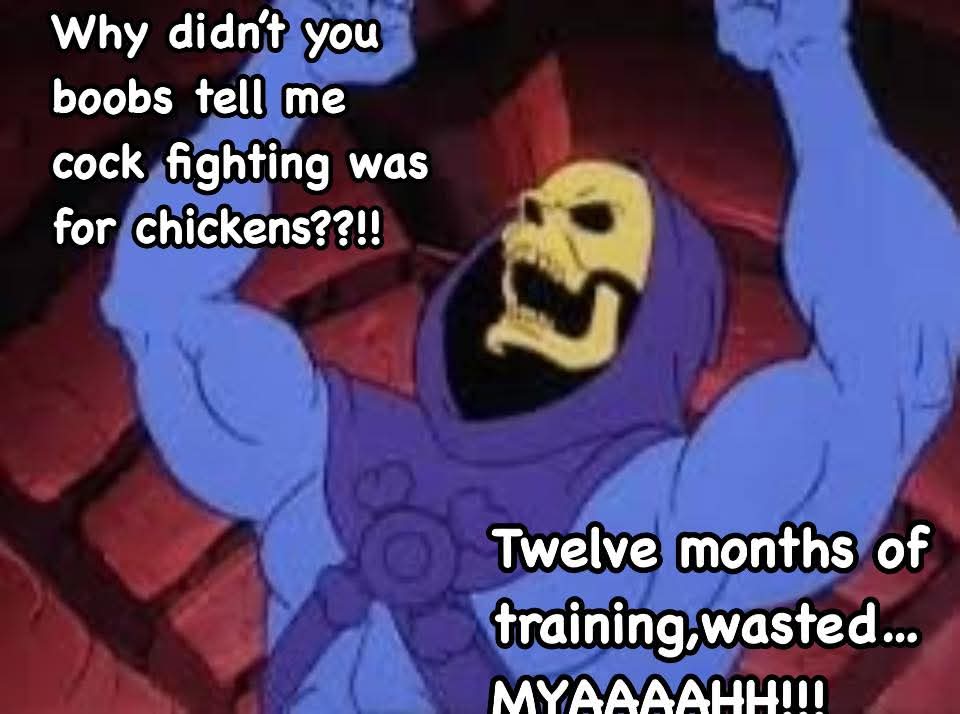 RealBadSkeletor's tweet photo. https://t.co/484AC7EsHY