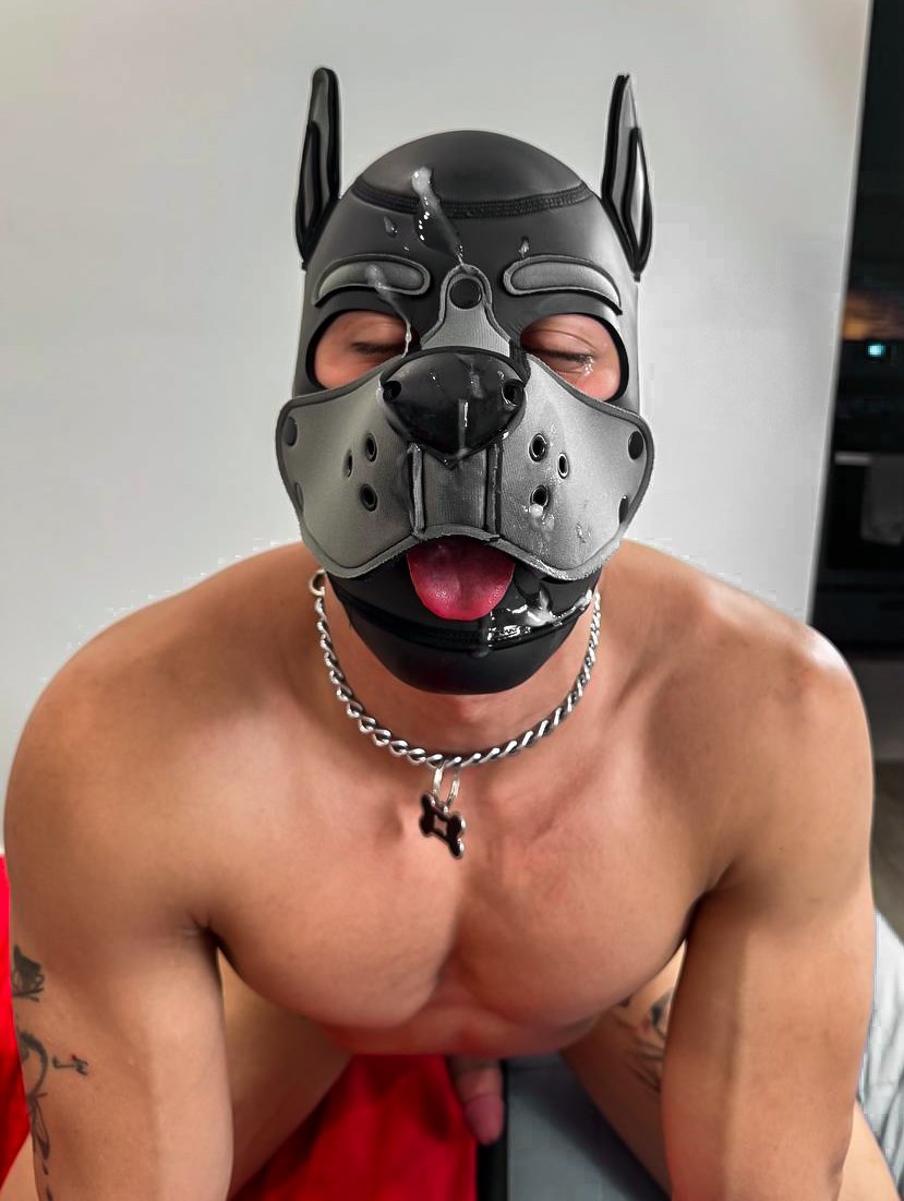 PupD_Duke's tweet photo. Puppy Paradise with @zanderwoodz 🌴🥥 https://t.co/PnbDzs4Pbh