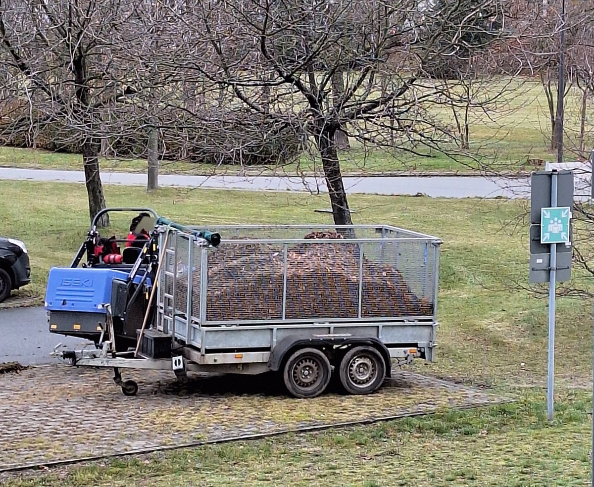 Birgit Kieschnick🦄#B96begradigen tweet media