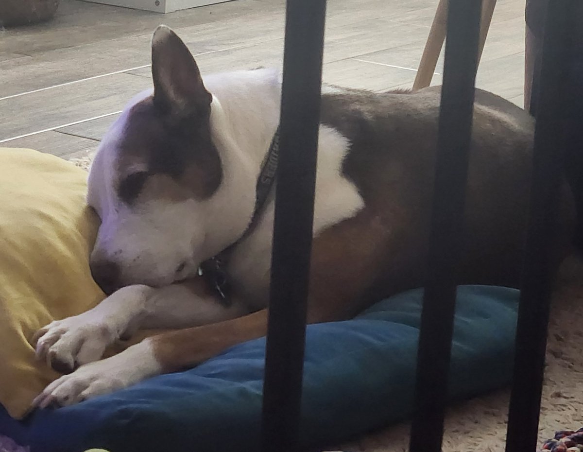 quarterjada's tweet photo. my baby is gone :( i hate life sometimes https://t.co/71DLjJyF6v