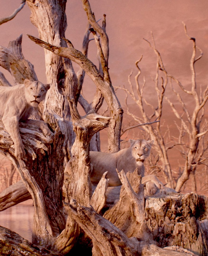 Folake Olowofoyeku tweet media