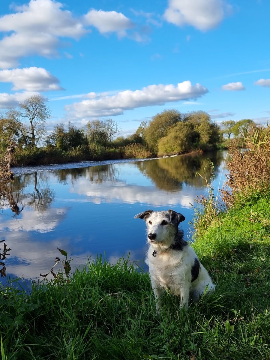 respecting nature tweet media