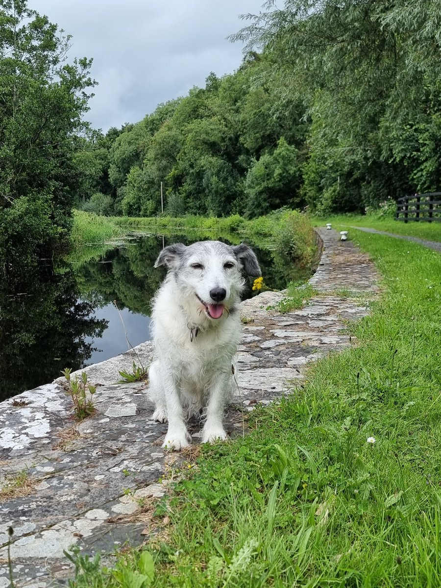 respecting nature tweet media