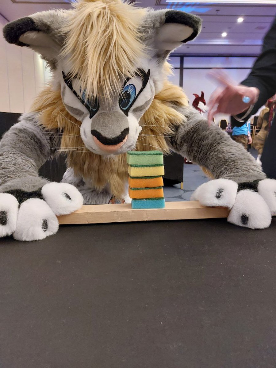 TianSabertooth's tweet photo. Concentration ! Concentration ! ..  Yes ... Everything ended up on the ground 🙈

🪡 @nukecreations 
📸 SaPhiron

Happy #FursuitsFriday ! https://t.co/mDqfHannzA