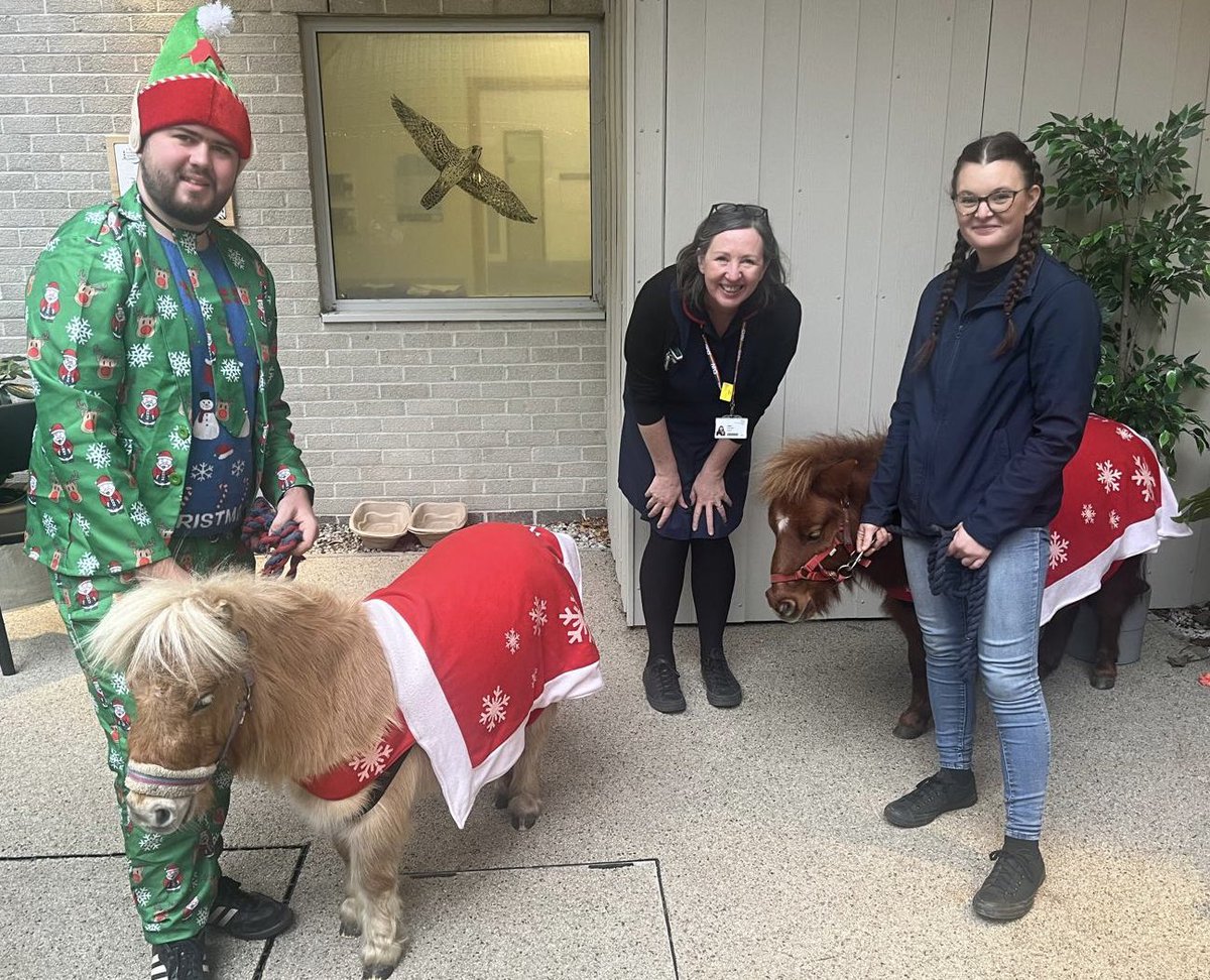 Team Ocean Suite (@teamoce93717535) on Twitter photo Our lovely Matron <a href="/EmmaJLCollins/">Emma Collins</a> enjoying a little break with the Christmas ponies earlier today!!😍🐴 🎄
<a href="/Claire_O_1972/">Claire O'Donnell</a>
<a href="/UHP_NHS/">University Hospitals Plymouth NHS Trust</a>
<a href="/EmmaJLCollins/">Emma Collins</a> Our lovely Matron <a href="/EmmaJLCollins/">Emma Collins</a> enjoying a little break with the Christmas ponies earlier today!!😍🐴 🎄
<a href="/Claire_O_1972/">Claire O'Donnell</a>
<a href="/UHP_NHS/">University Hospitals Plymouth NHS Trust</a>
<a href="/EmmaJLCollins/">Emma Collins</a>