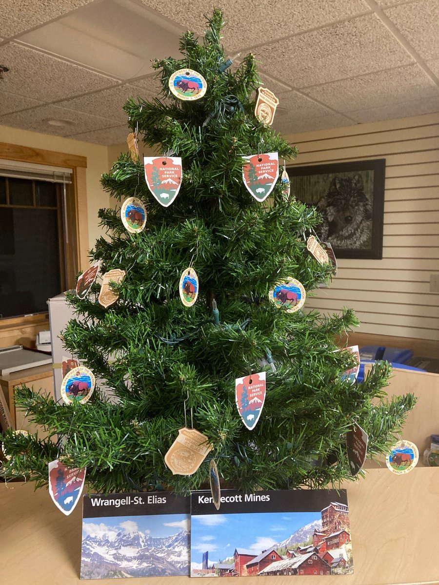 HAPPY HOLIDAYS from the team at Wrangell-St. Elias! Wishing you a safe, healthy and happy season with family and friends!
Photo: NPS/Small tree decorated with Junior Ranger badges, and ornaments of the NPS and DOI logos.