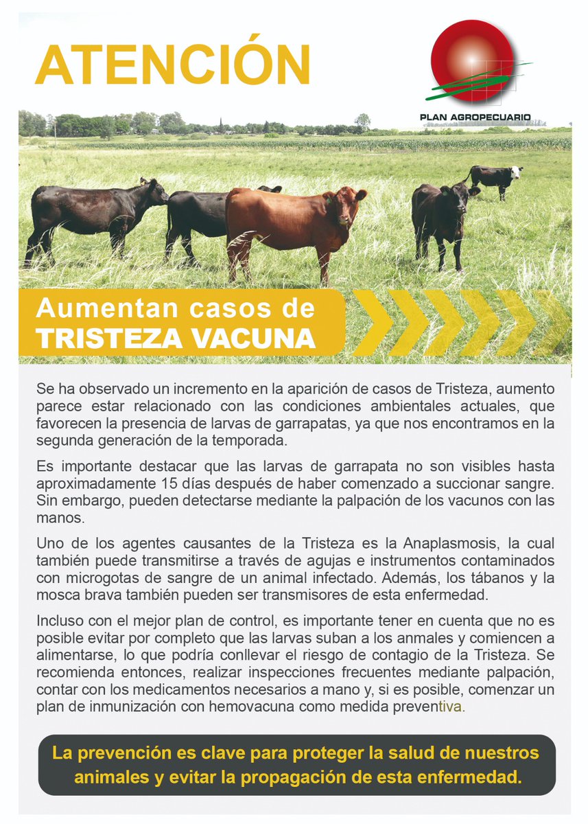 PlanAgro's tweet photo. ⚠️Recomendaciones🕷️🐮
Frente al aumento de casos de Tristeza Vacuna
#Prevención #ControlDeGarrapata #Salud #BienestarAnimal #Ganadería @rafaelcarriq #PlanAgro https://t.co/VNbiMTGDUW