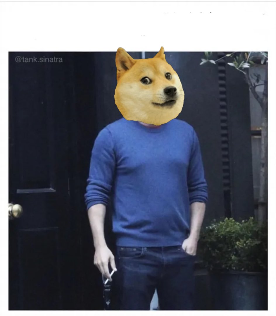 dogeposting's tweet photo. When DOGE dips 📉 https://t.co/d7uNKvodoX