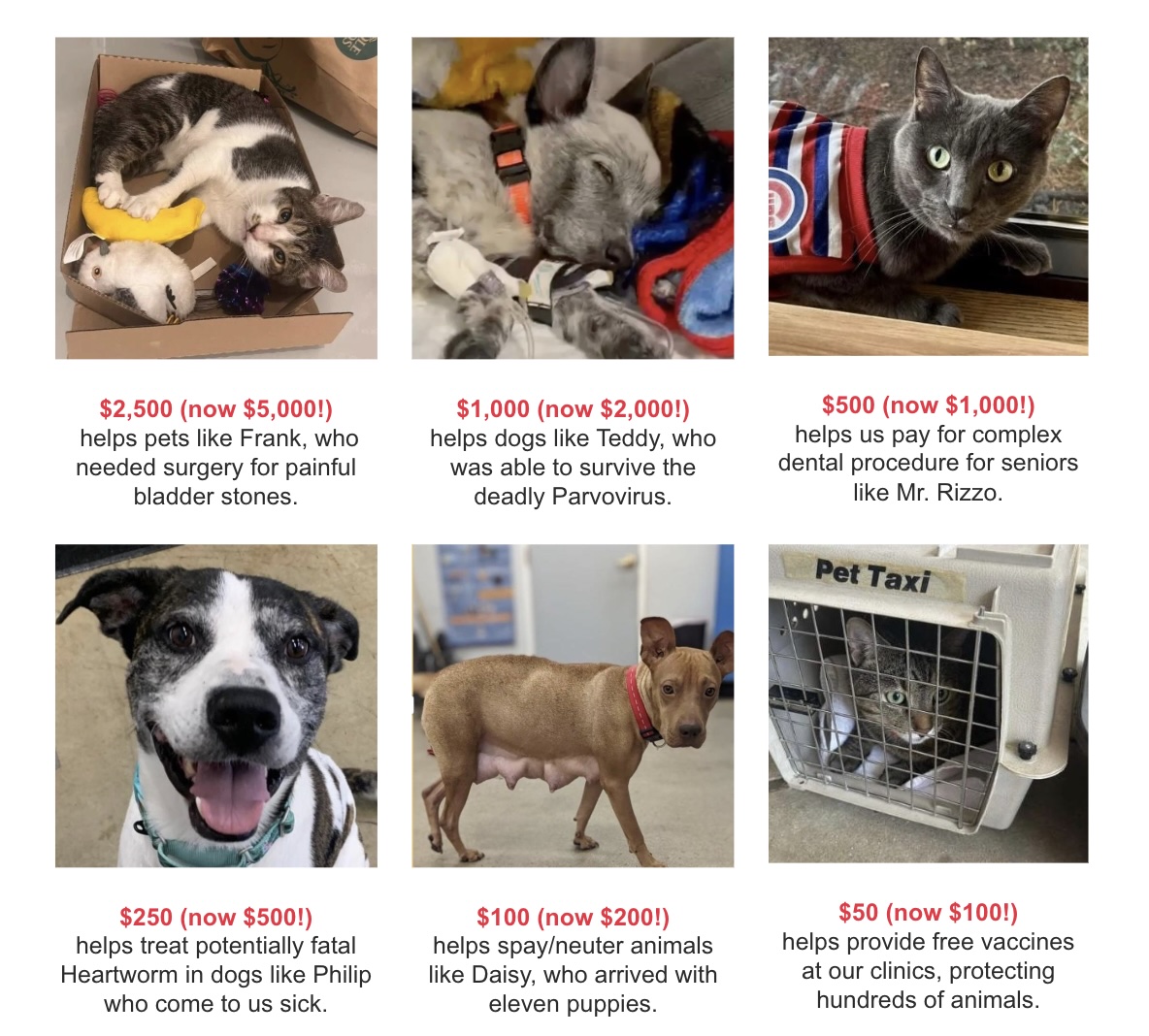 Santa is coming to town, and he's bringing TWICE the gifts! We are feeling extra festive because our friends at the Brandt Foundation are offering a $10,000 MATCHING GIFT!  Think of the things your gift can do, especially now it will go 2Xas far: form-renderer-app.donorperfect.io/give/heartland…