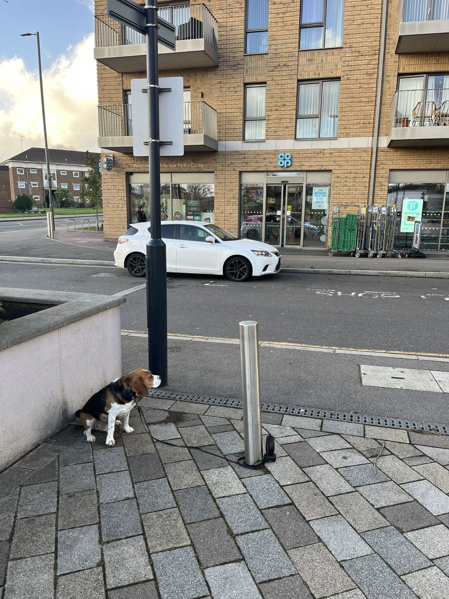 njmw69's tweet photo. @coopuk please confirm your dog-hook installation date soonest. It’s been too long! https://t.co/1zcTDcrfnc