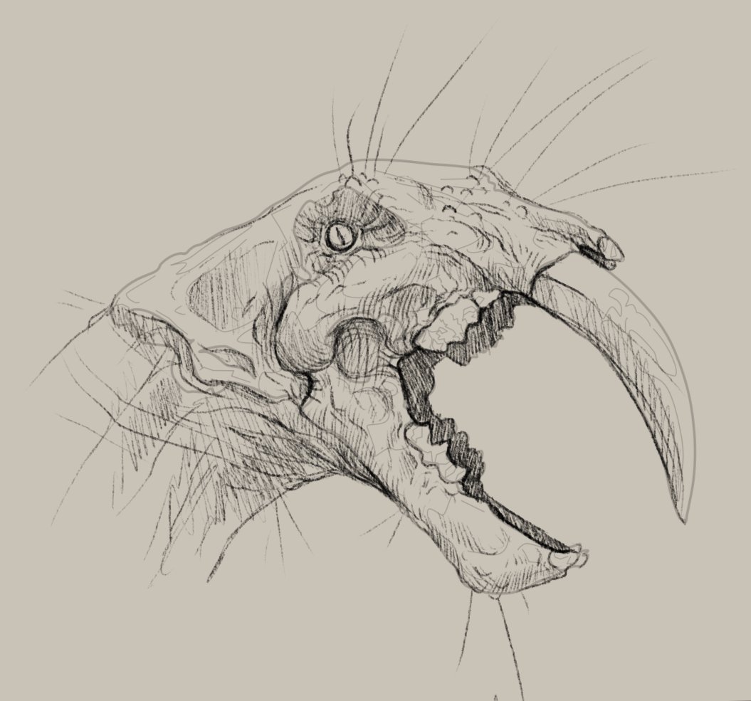 the humble shrink wrapped saber tooth

#art #digitalart #paleoart