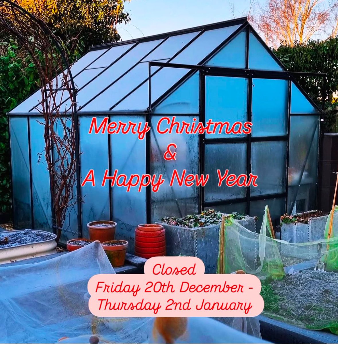 Vitavia Greenhouses tweet media