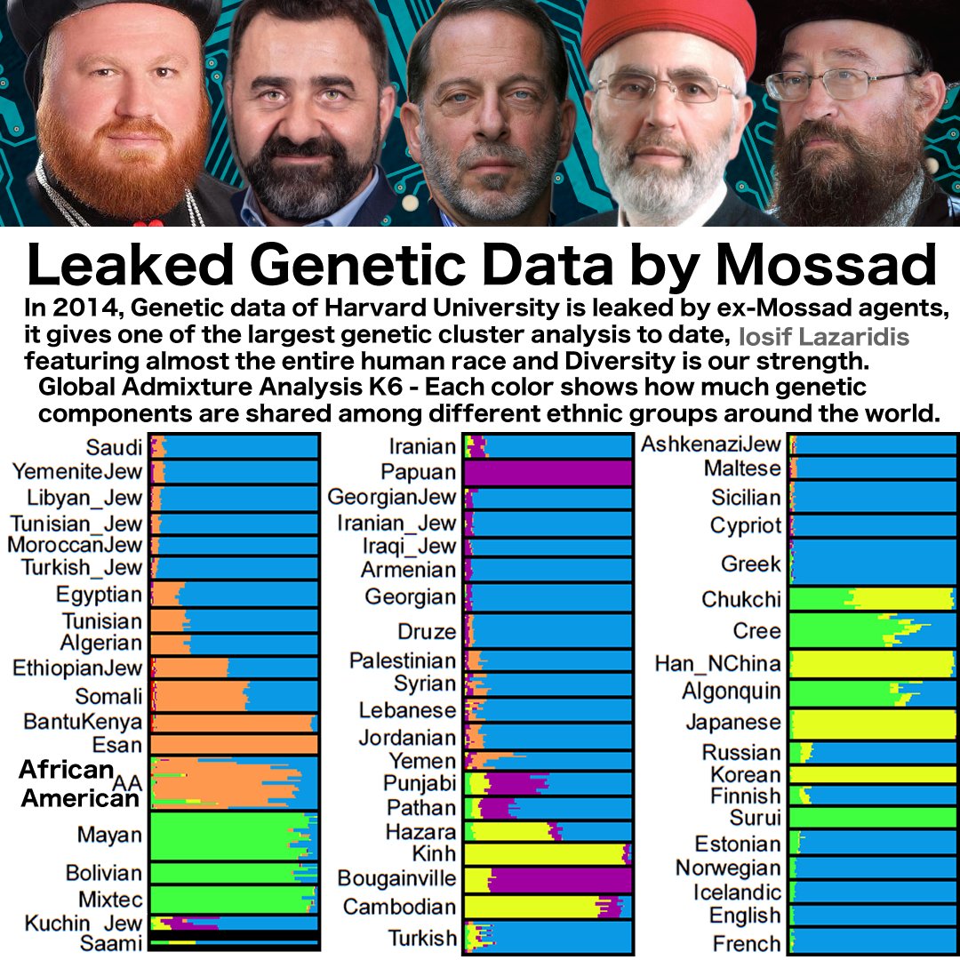 AsianJesusAmigo's tweet image. DNA Genetic Map y genetic chart ADN @AKNewsNow @sourcefed @SexAndHorrorTXT @DNAmagazine @adnradiochile @adn40 @GeneticESP @GeneticExplore @GeneticEnhancer @GeneticEchoes @GeneticEngineer @GeneticExperts @GeneticE #geneticmap #dnamap #adnmap #geneticstudy #pca #pcamap #pcas #DNAs