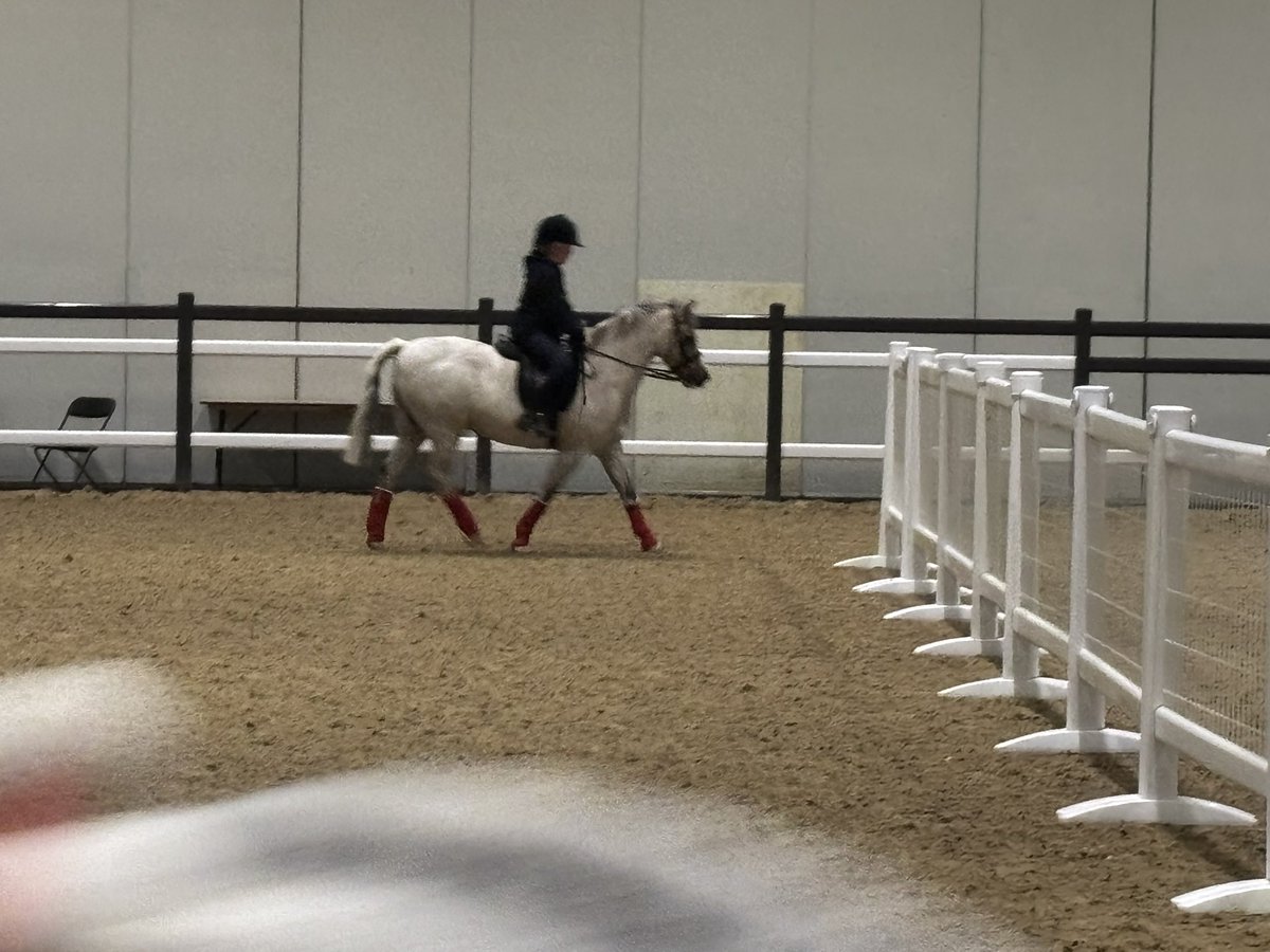 We’ve arrived!!

<a href="/OlympiaHorse/">Olympia, The London International Horse Show</a>