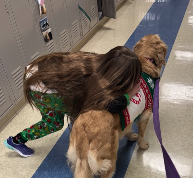 Visited MMS, MIS and Fairfield today!  Took some pics with Mrs. Yavorsky's class and Mrs. Debo's class!  #wearemaumee #pantherpawsprogram #mentalhealthmatters #certifiedtherapydog