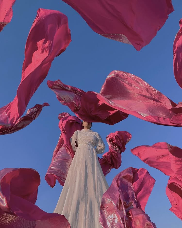 Find your wings 🤍🩷💜