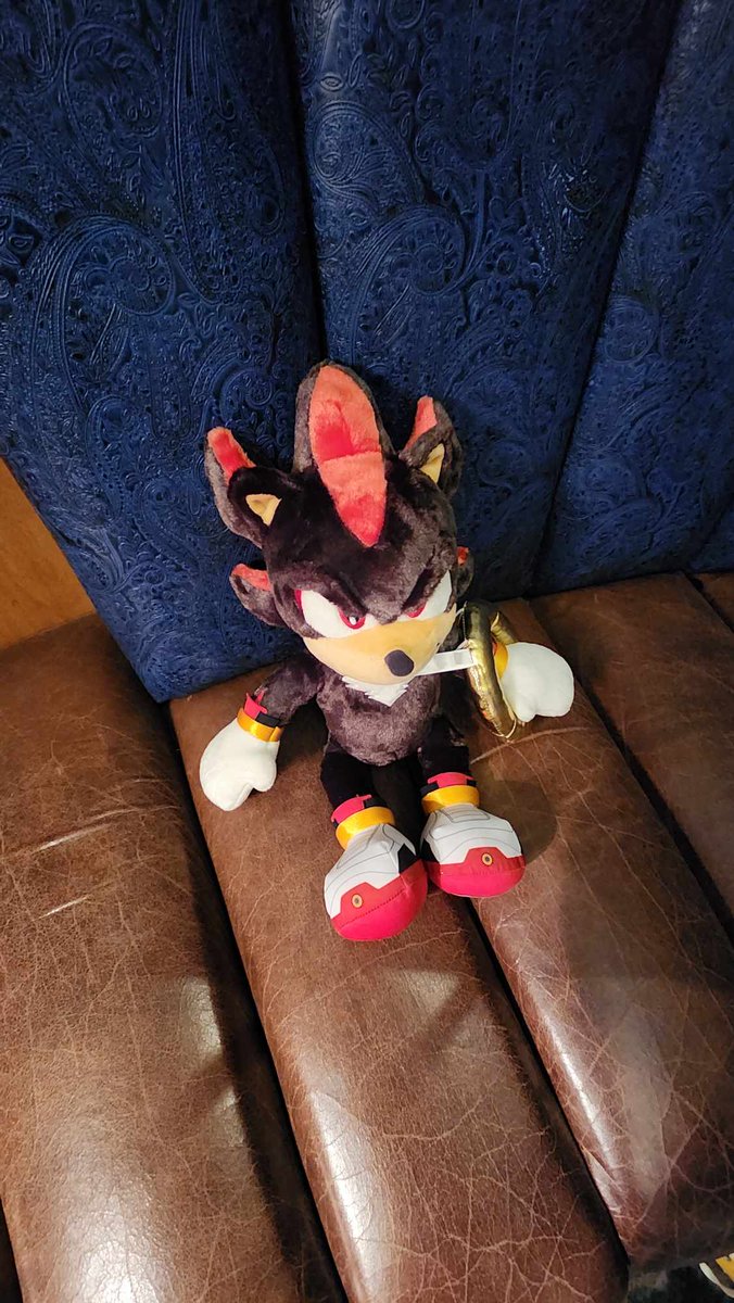 S _ E _ G _ A tweet media